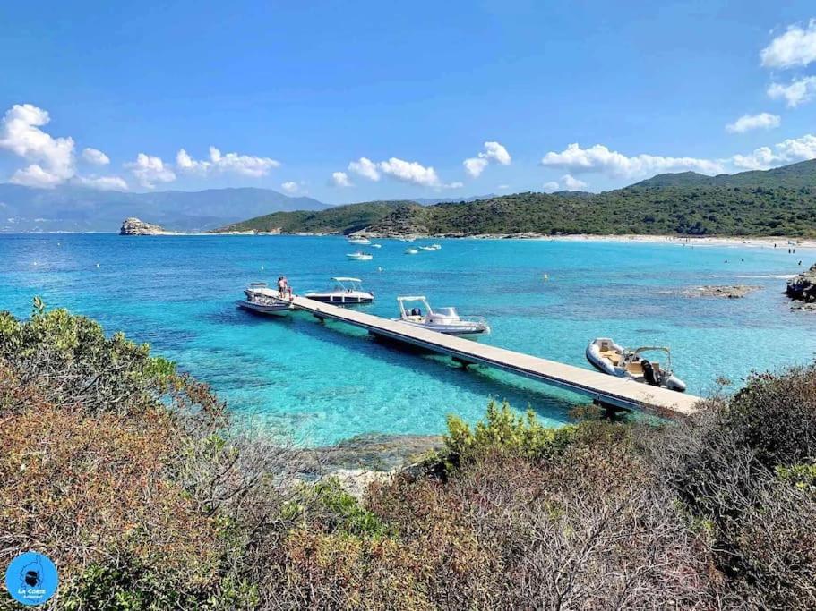 Neuf Avec Balcon Et 2 Saint-Florent (Corsica)
